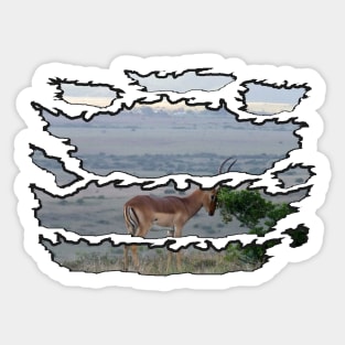 Impala Hill Ripped Wildlife Sticker